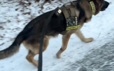 K9 Sgt. Lanzer – “No excuses, no shortcuts, just determination.”